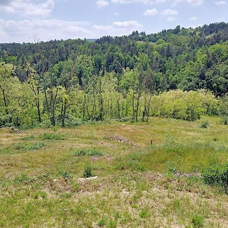 Ecrin De Verdure En Ardeche Verte Colombier-le-Vieux Exteriör bild