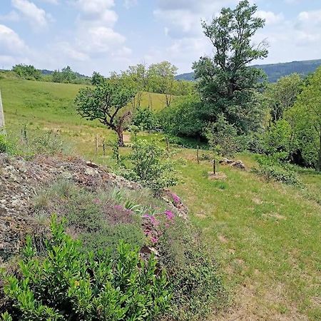 Ecrin De Verdure En Ardeche Verte Colombier-le-Vieux Exteriör bild