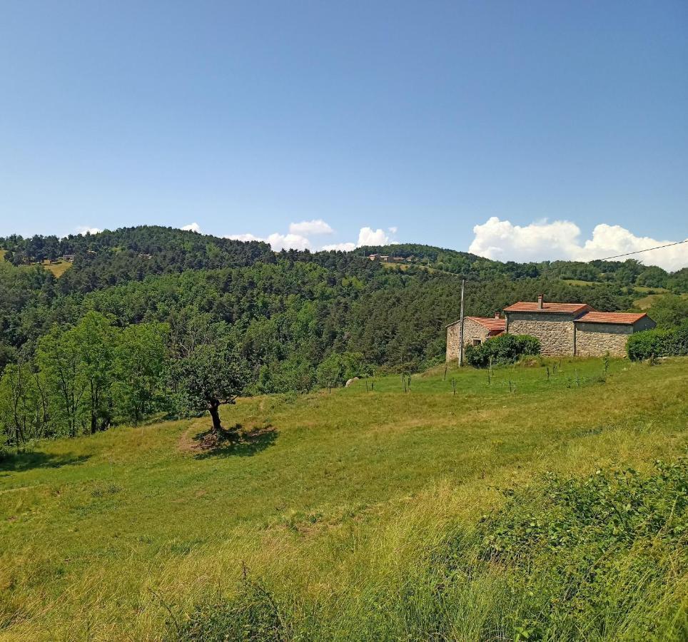 Ecrin De Verdure En Ardeche Verte Colombier-le-Vieux Exteriör bild