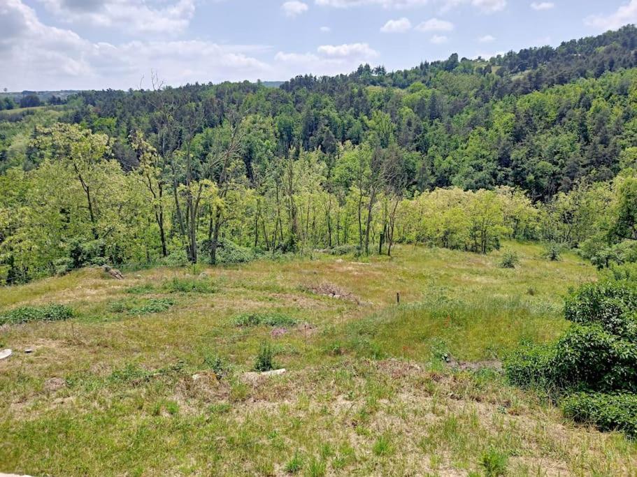 Ecrin De Verdure En Ardeche Verte Colombier-le-Vieux Exteriör bild