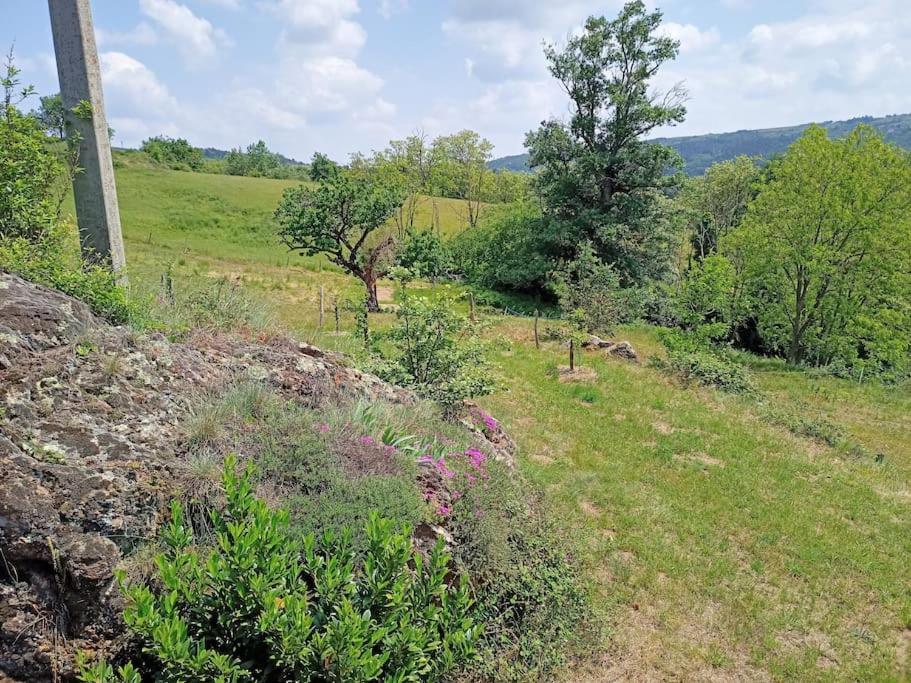 Ecrin De Verdure En Ardeche Verte Colombier-le-Vieux Exteriör bild